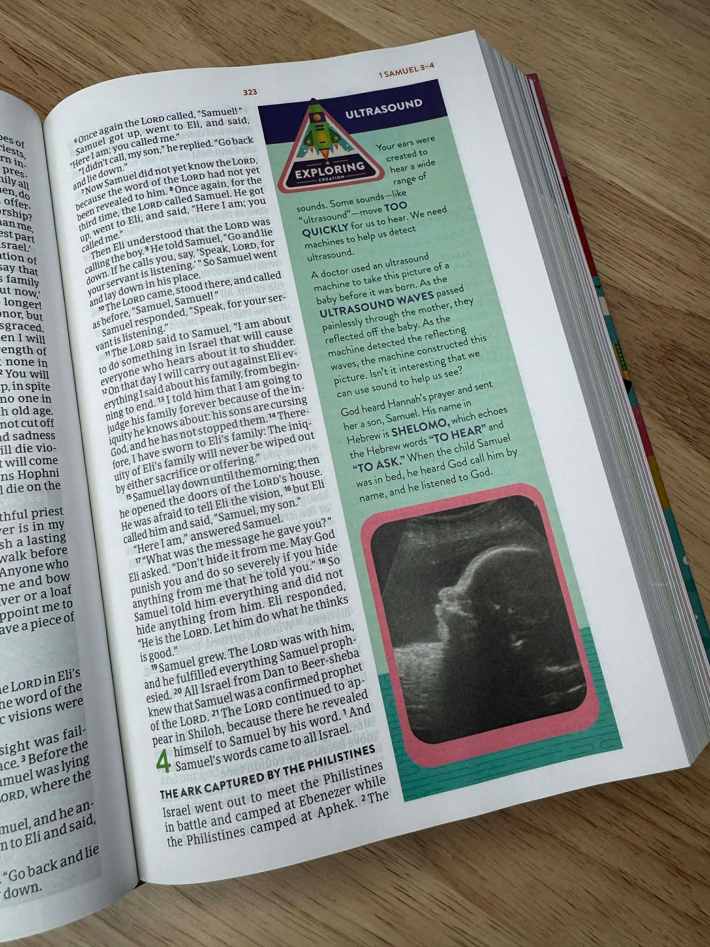 CSB Explorer Bible for Kids, Hardcover