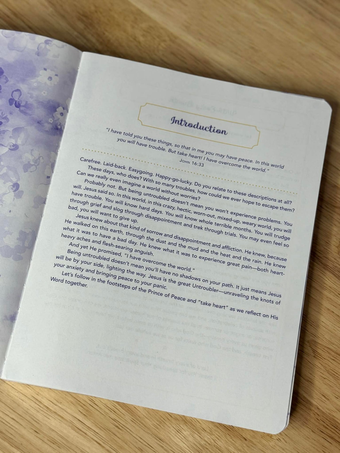 Untroubled: A Devotional Journal for Finding Calm in a Chaotic World